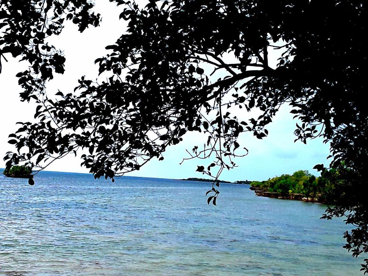 Adayo Cove Resort Сикиджор Екстериор снимка